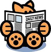 165x170 Clip Art Of Cat Reading Newspaper Clip Art K1396858