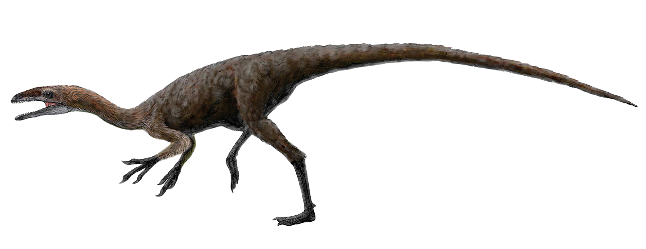 1280x494 Free Dinosaur Clipart Clip Art Pictures Graphics And Illustrations