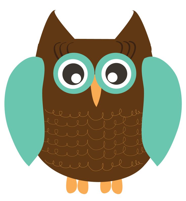 736x797 Real Owl Clipart