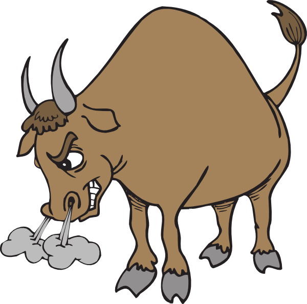 600x594 Bull Clipart Real Animal 2664717