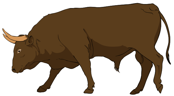600x333 Bull Clipart Real Animal 2664733