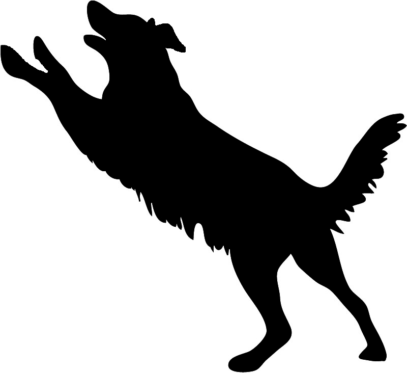800x732 Dog Jumping Border Clipart