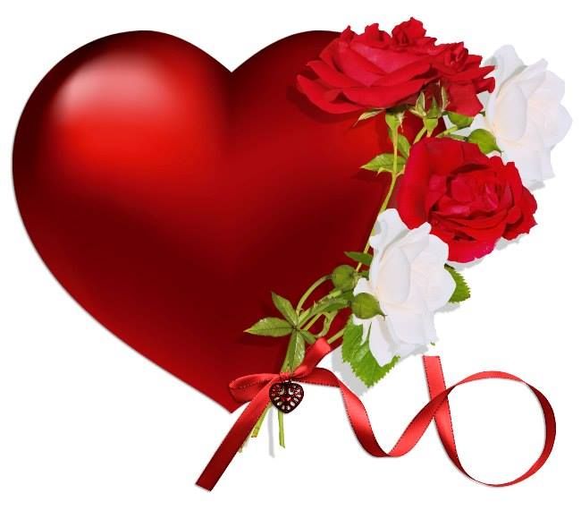 650x570 Red Rose Clipart Real