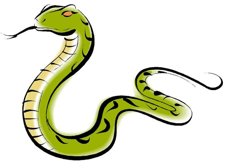 736x532 Clip Art Snakes And Art