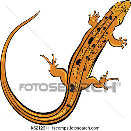 450x447 Clipart Of Realistic Gecko Lizard K6212671