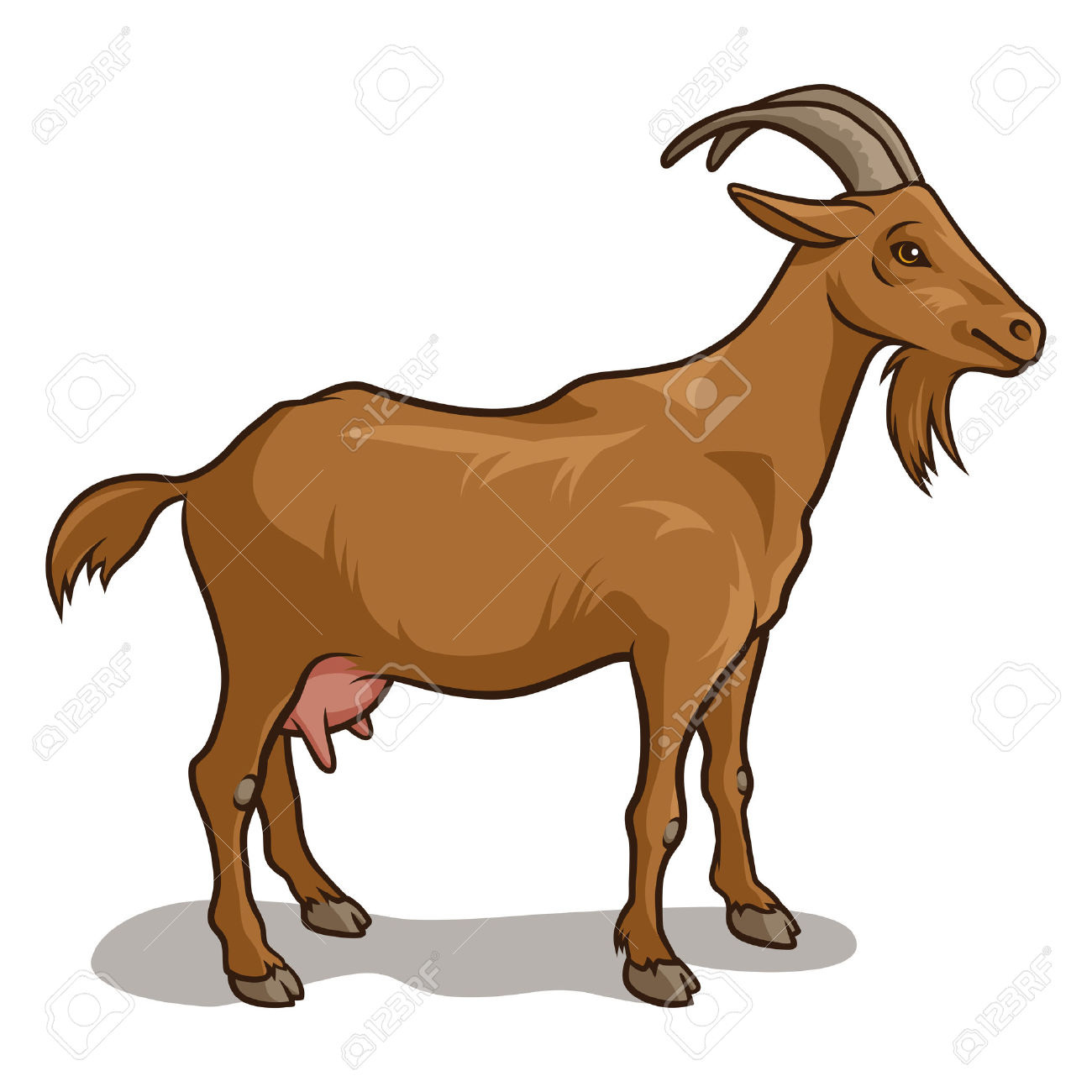 1300x1300 Goat Clipart Realistic