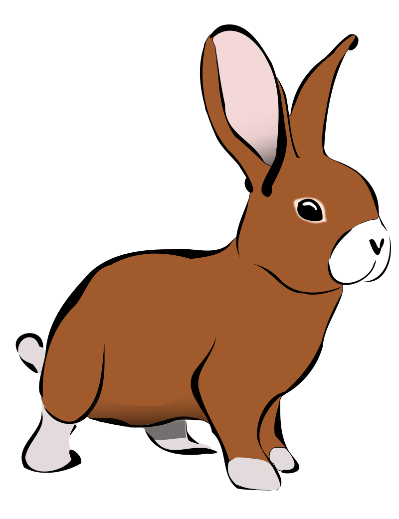 800x1041 Realistic Clipart Bunny