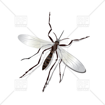 400x400 Realistic Mosquito Royalty Free Vector Clip Art Image
