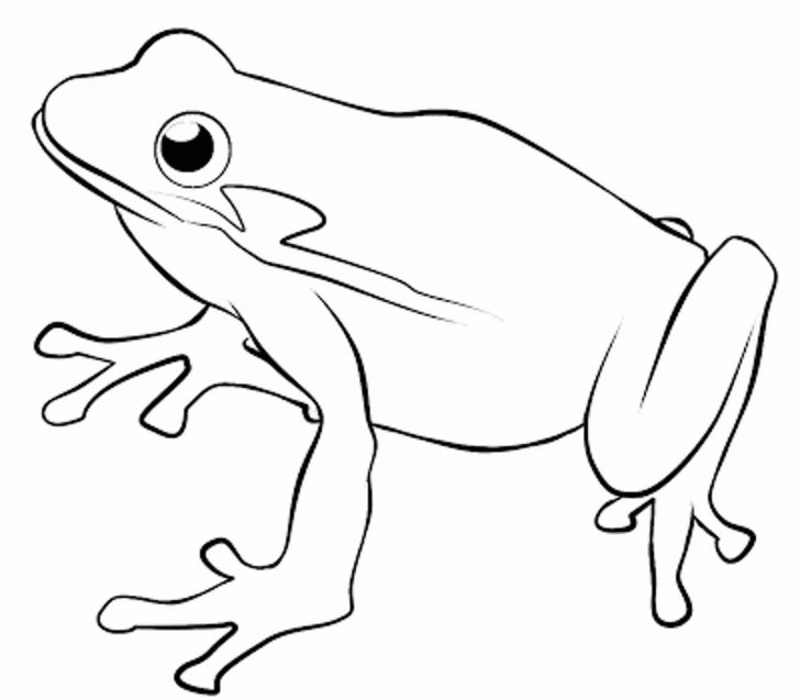 728x637 Coloring Sheet Of Cartoon Outline Frog For Kids Sc Classroom