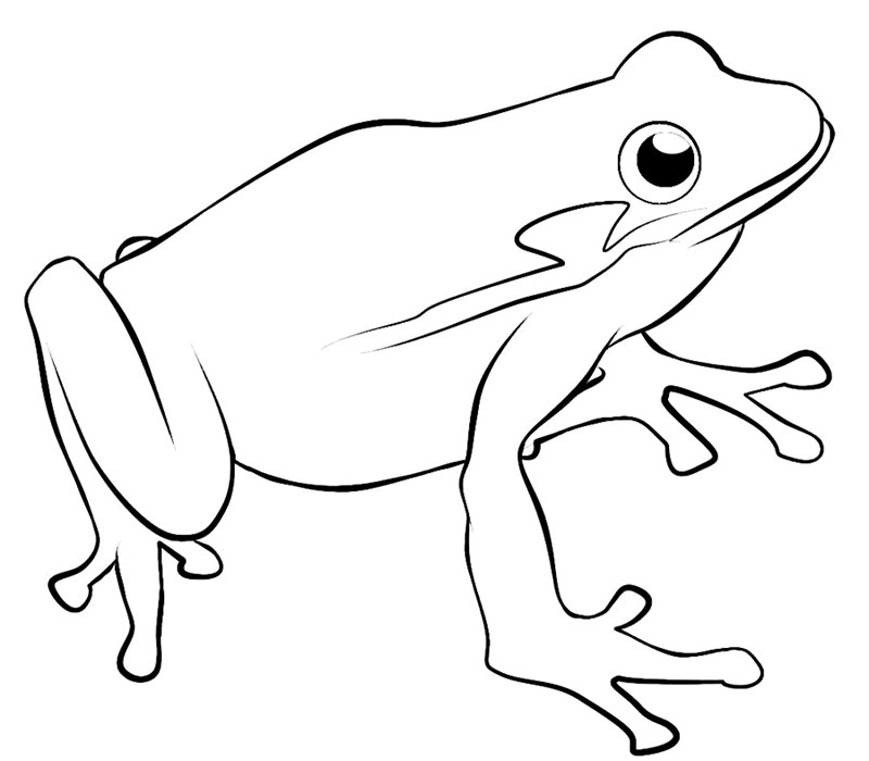 800x700 Tree Frog Coloring Pages Many Interesting Cliparts