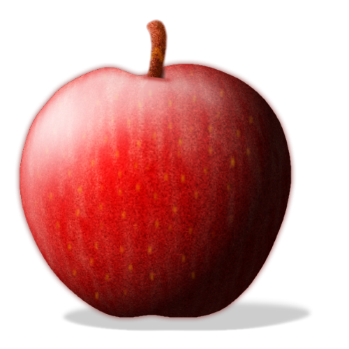 500x500 Object Of The Fortnight