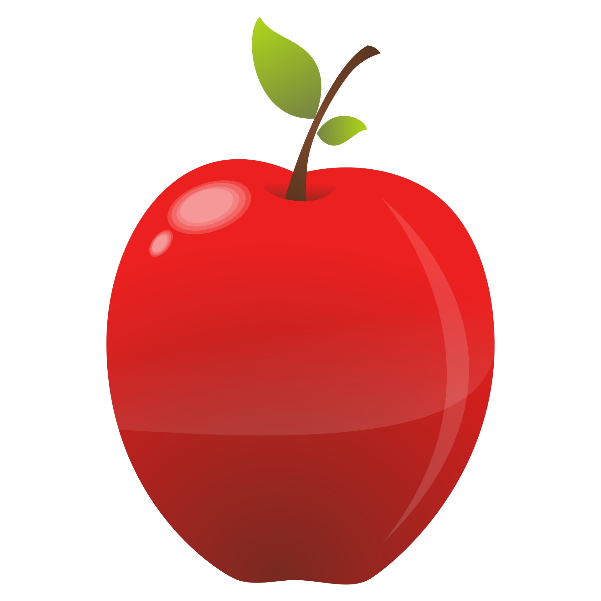 1920x1920 Red Apple Free Stock Photo