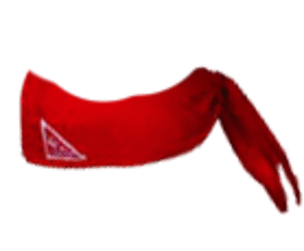 600x496 Western Bandana Cliparts 274320