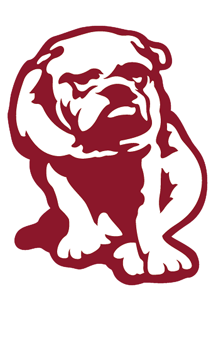 672x1080 Revising Defunct Nfl Franchises Canton Bulldogs. 1 Of 8 Nfl