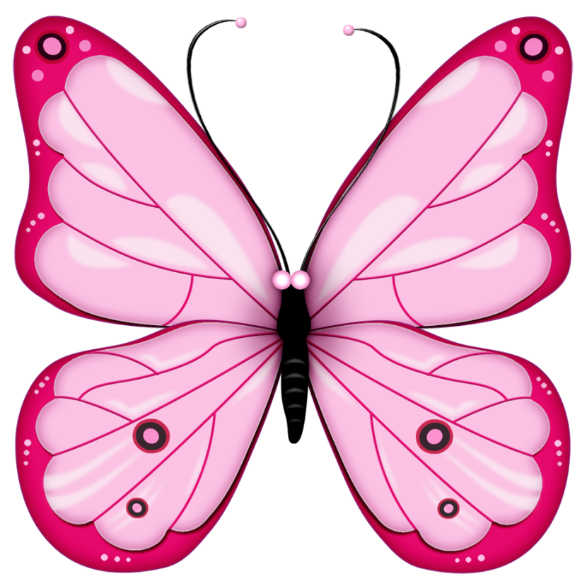 830x829 Papillon Butterfly Clipart, Explore Pictures
