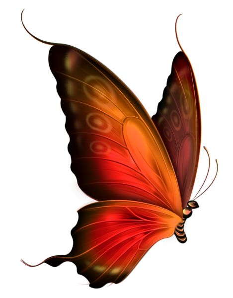 469x600 Red And Brown Transparent Butterfly Clipart Art
