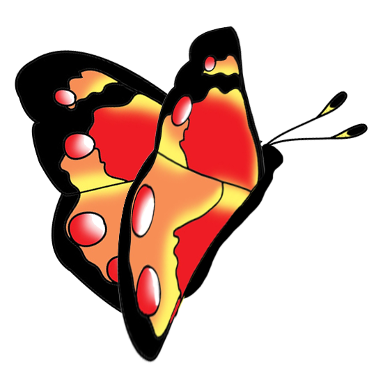 563x532 Beautiful Butterfly Images