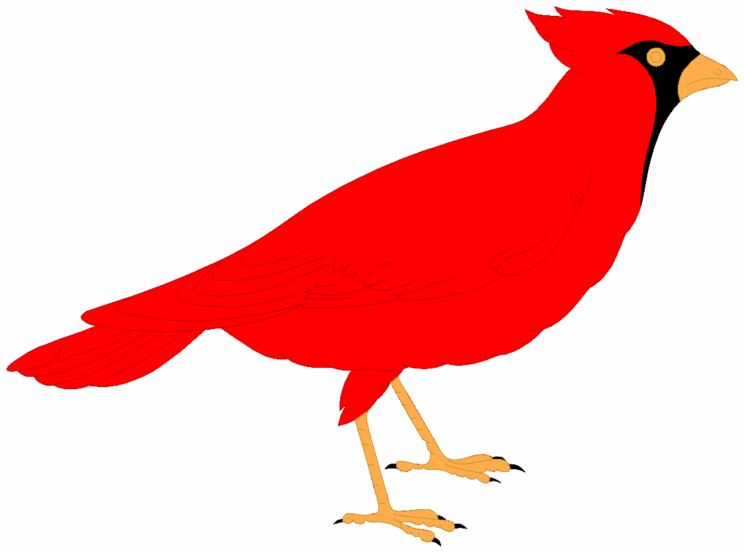 1078x800 Cardinal Clipart Animated
