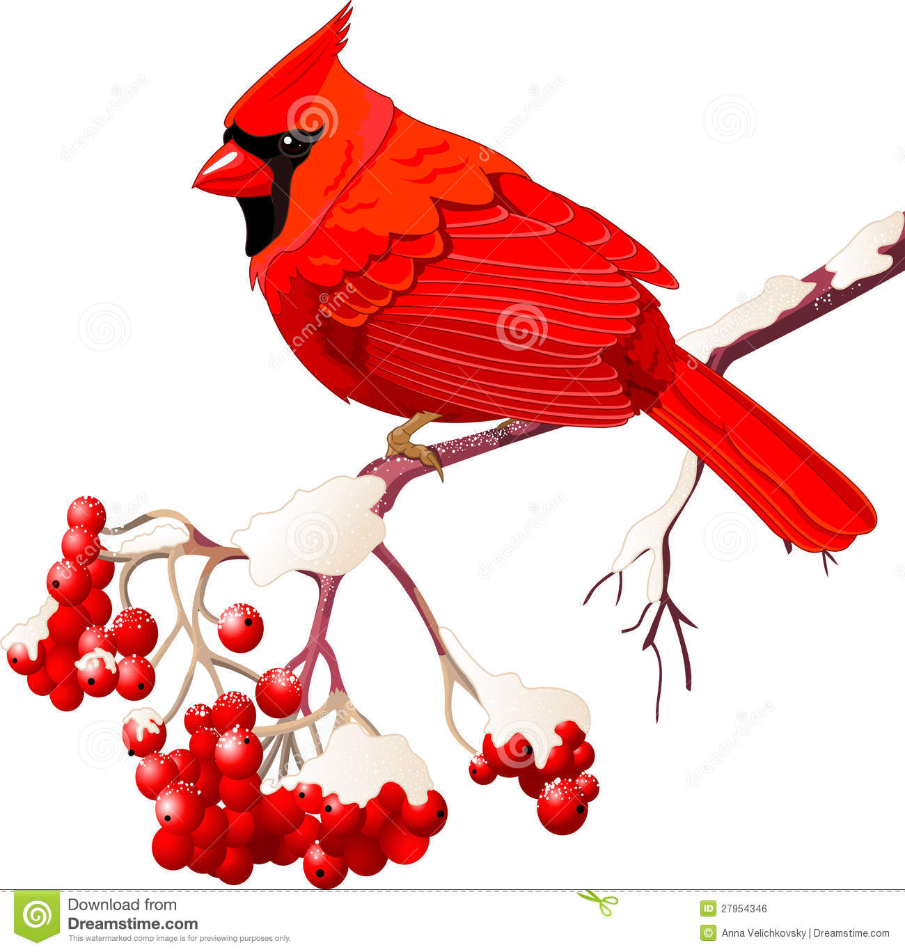 1300x1368 Cardinal Clipart Sketch