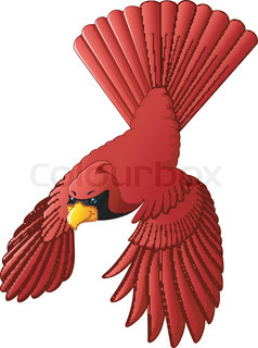 238x320 Red Cardinal Bird In Cartoon Style Stock Vector Colourbox