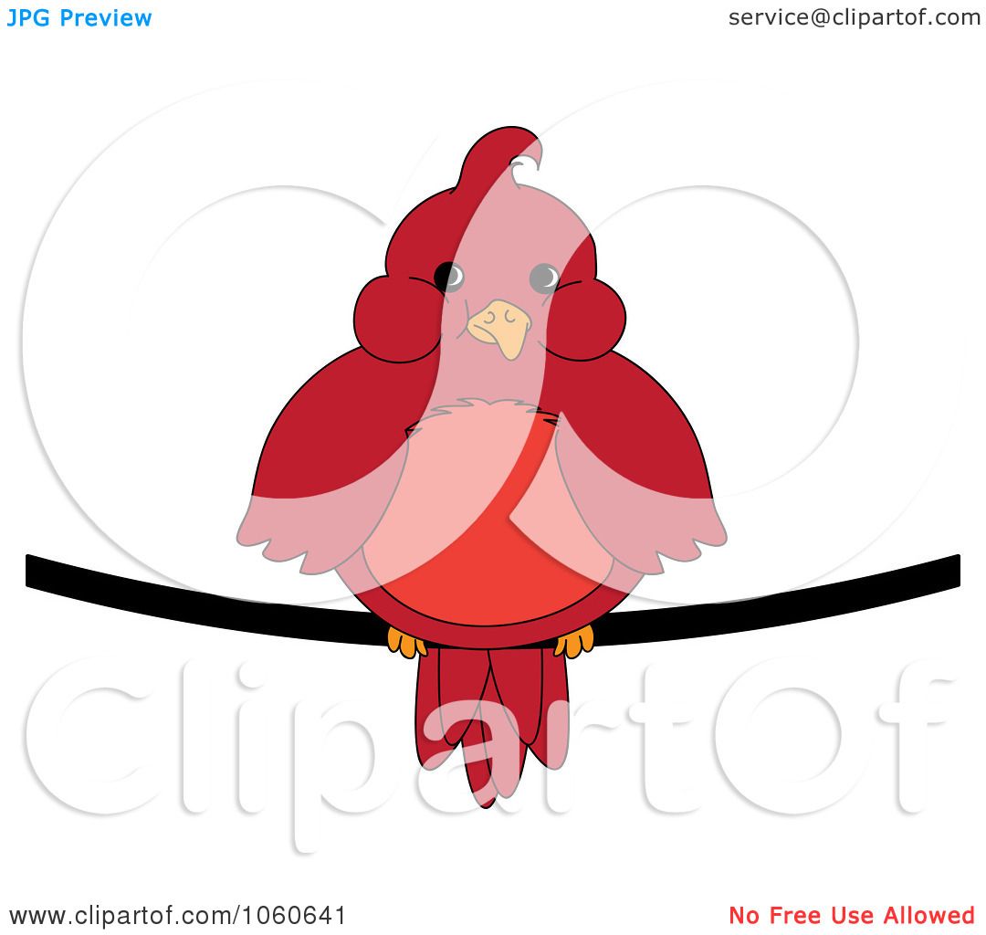 1080x1024 Royalty Free Vector Clip Art Illustration Of A Chubby Red Cardinal