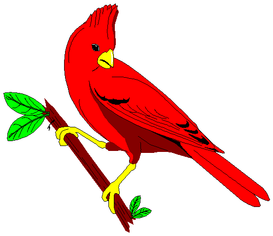 554x480 Top 78 Cardinal Clip Art
