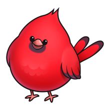 220x220 Cardinal Clipart Cute