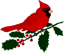 218x180 Cardinal Clipart Winter Cardinal