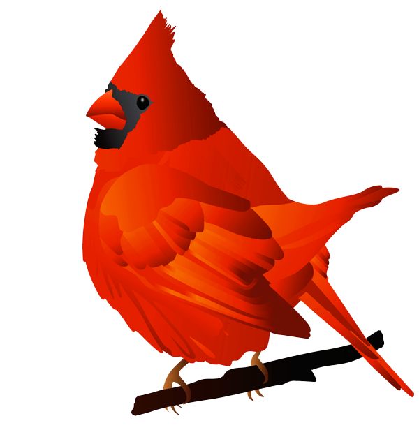 600x616 Free Cardinal Clipart Clipart