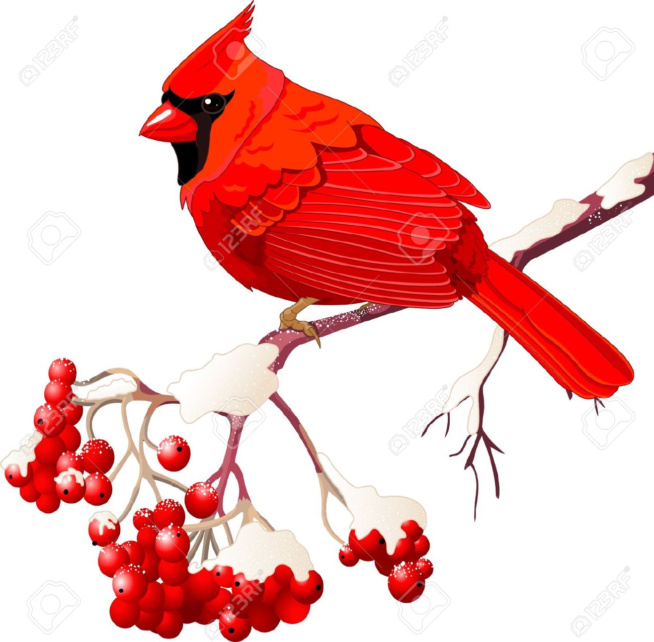 1300x1277 Top 83 Cardinal Clipart
