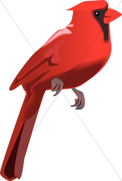 413x612 Cardinal Perched Wildlife Clipart