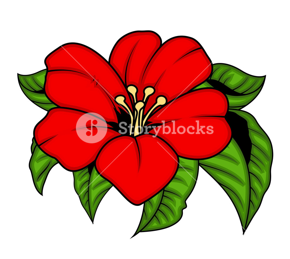 1000x893 Red Flower With Leaves Vector Illustration Royalty Free Stock