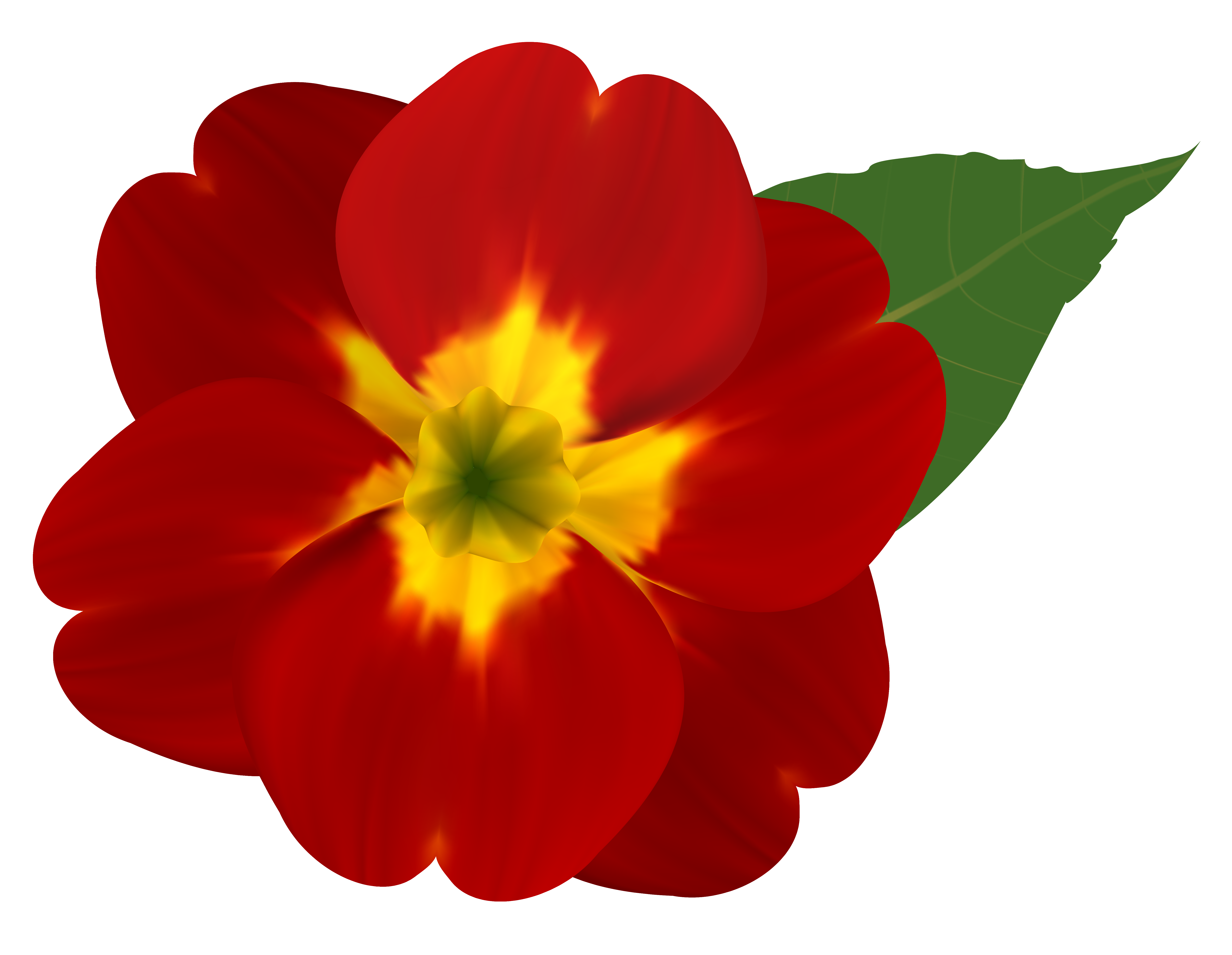 6260x4855 Red Flower Clipart Yellow Flower