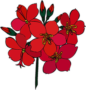 300x312 Red Flowers Clipart