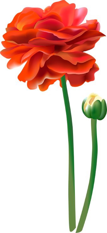 340x742 Red Flower Clip Art