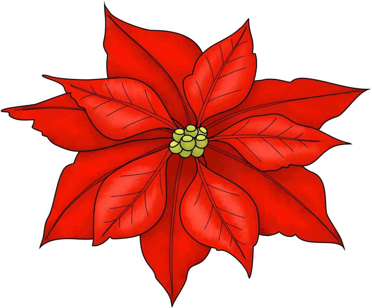 1264x1048 Christmas Flowers Clipart Cheminee.website