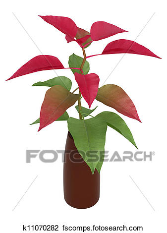337x470 Clip Art Of Home Plant With Green And Red Leaves K11070282