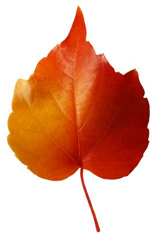 315x472 92 Best Clipart Images Scenery, Clip Art And Draw