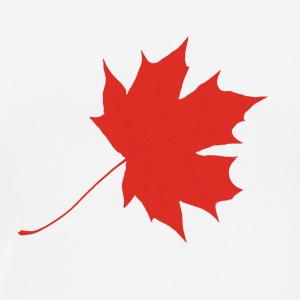 300x300 Maple Leaf Image Clipart