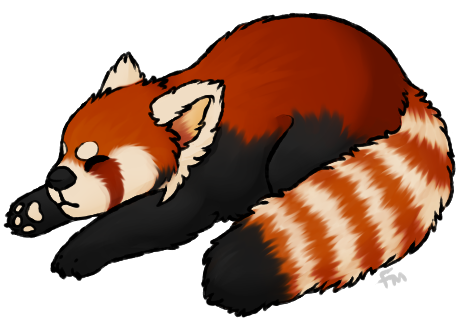 460x328 Red Panda Clipart Transparent Background