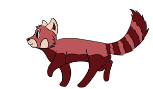 300x176 Red Panda Animation Wip By Heatheranimation