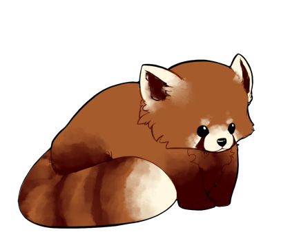 420x350 332 Best Red Pandas Images Digital Art, Cats