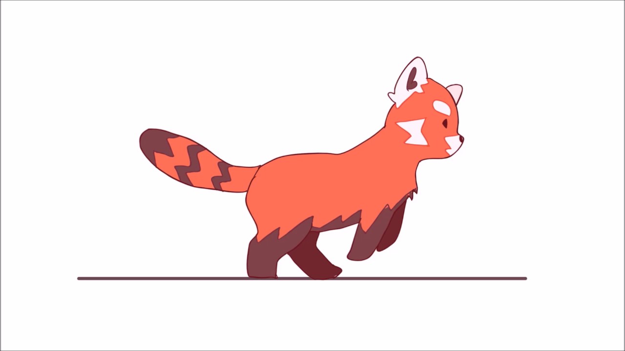 1280x720 Red Panda Run Cycle!!!