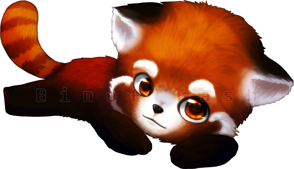1024x590 Red Panda Transparent Images All Clip Art