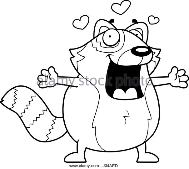 605x540 Red Panda Black And White Stock Photos Amp Images