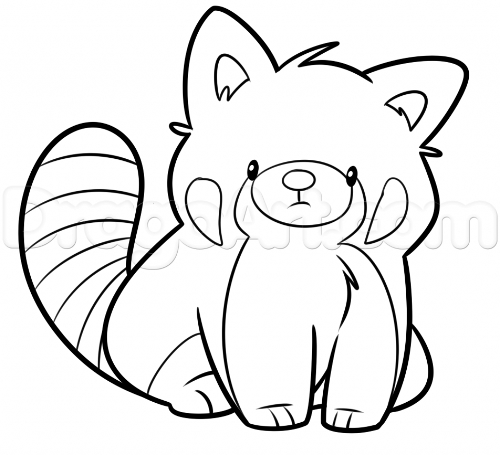 1024x931 Red Panda Drawing How To Draw A Red Panda Step Step Forest Animals