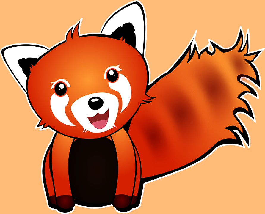 891x720 Red Panda Clipart 1080p