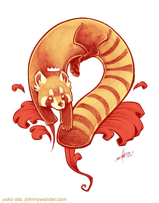 626x800 Red Panda By Yuko Ota Pets Amp Animals Red Panda