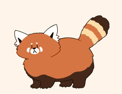 500x388 Red Panda Drawing Tumblr
