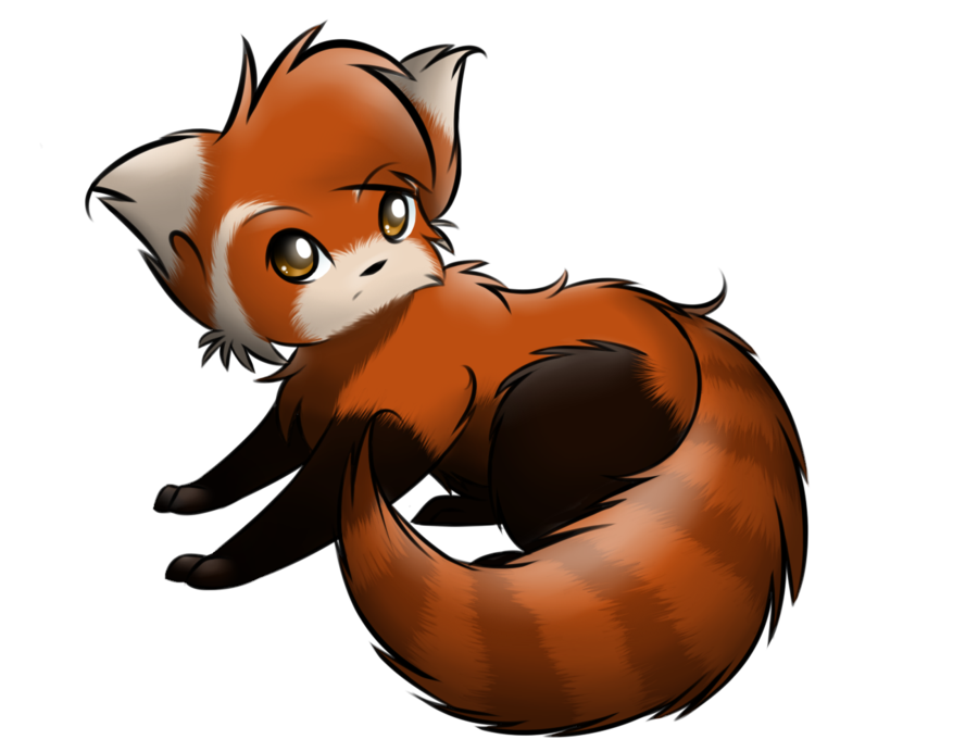 900x692 Drawn Panda Red Panda